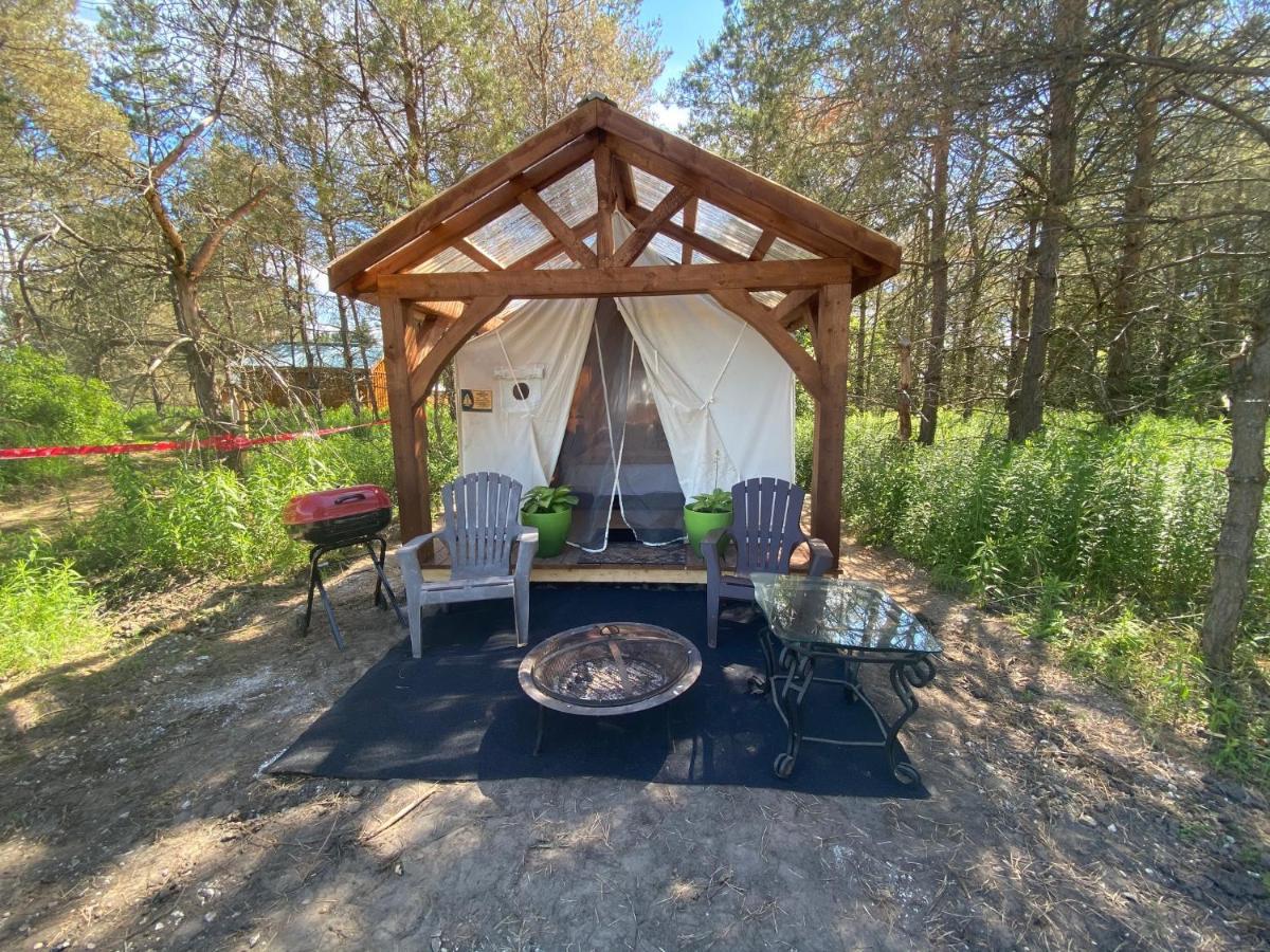 Dreamers Writing Farm, 3 Wooded Acres, Hepworth سوبل بيتش المظهر الخارجي الصورة