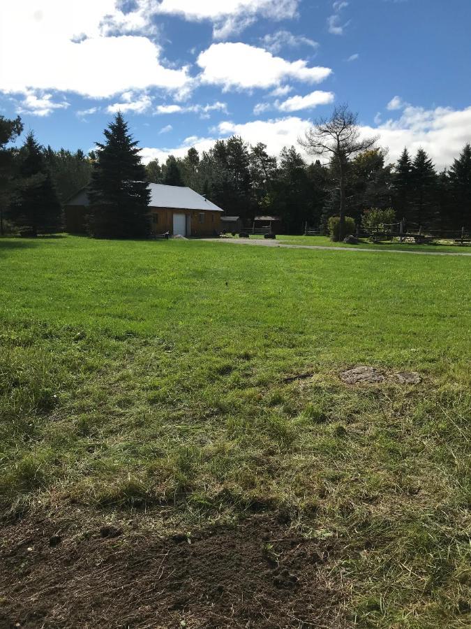 Dreamers Writing Farm, 3 Wooded Acres, Hepworth سوبل بيتش المظهر الخارجي الصورة