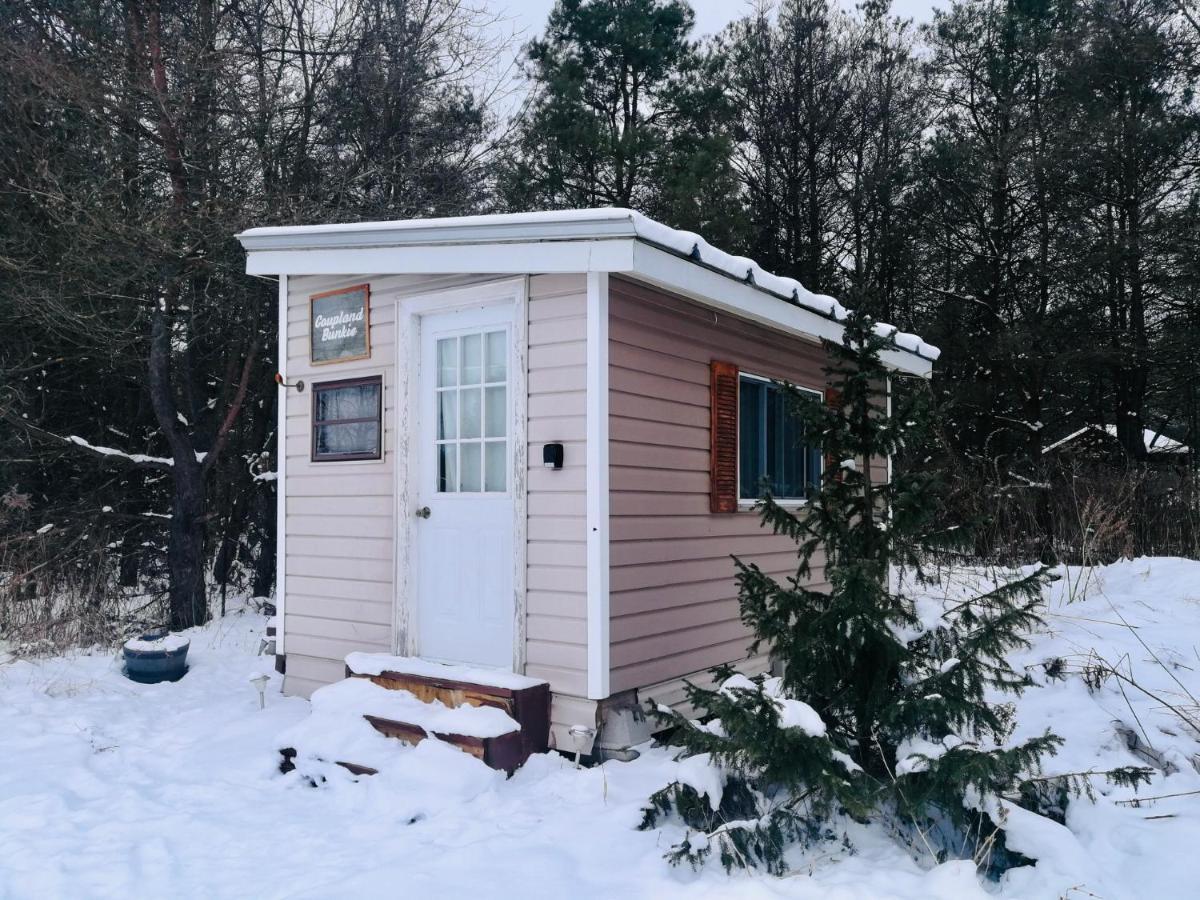 Dreamers Writing Farm, 3 Wooded Acres, Hepworth سوبل بيتش المظهر الخارجي الصورة