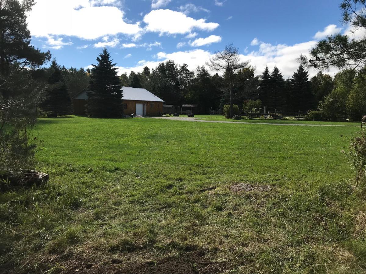 Dreamers Writing Farm, 3 Wooded Acres, Hepworth سوبل بيتش المظهر الخارجي الصورة