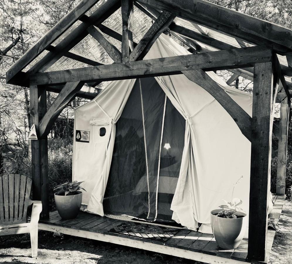 Dreamers Writing Farm, 3 Wooded Acres, Hepworth سوبل بيتش المظهر الخارجي الصورة