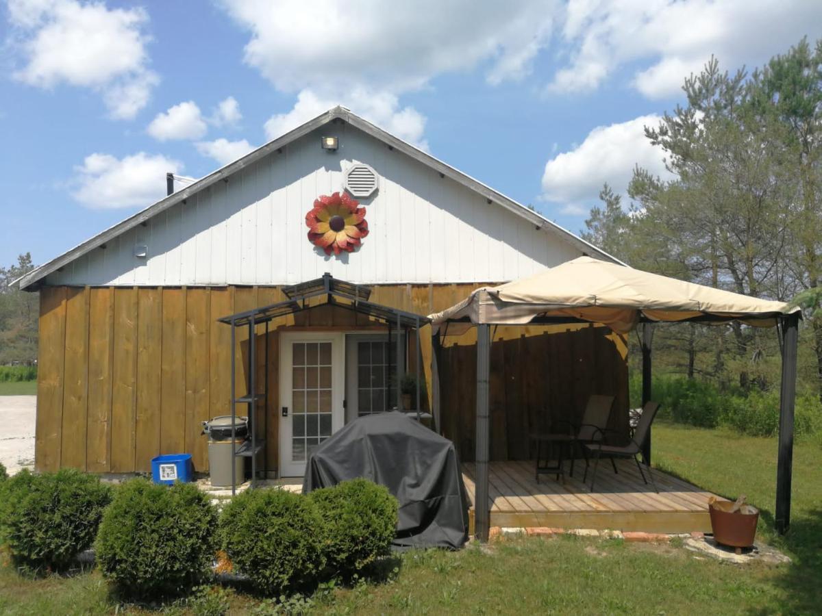 Dreamers Writing Farm, 3 Wooded Acres, Hepworth سوبل بيتش المظهر الخارجي الصورة