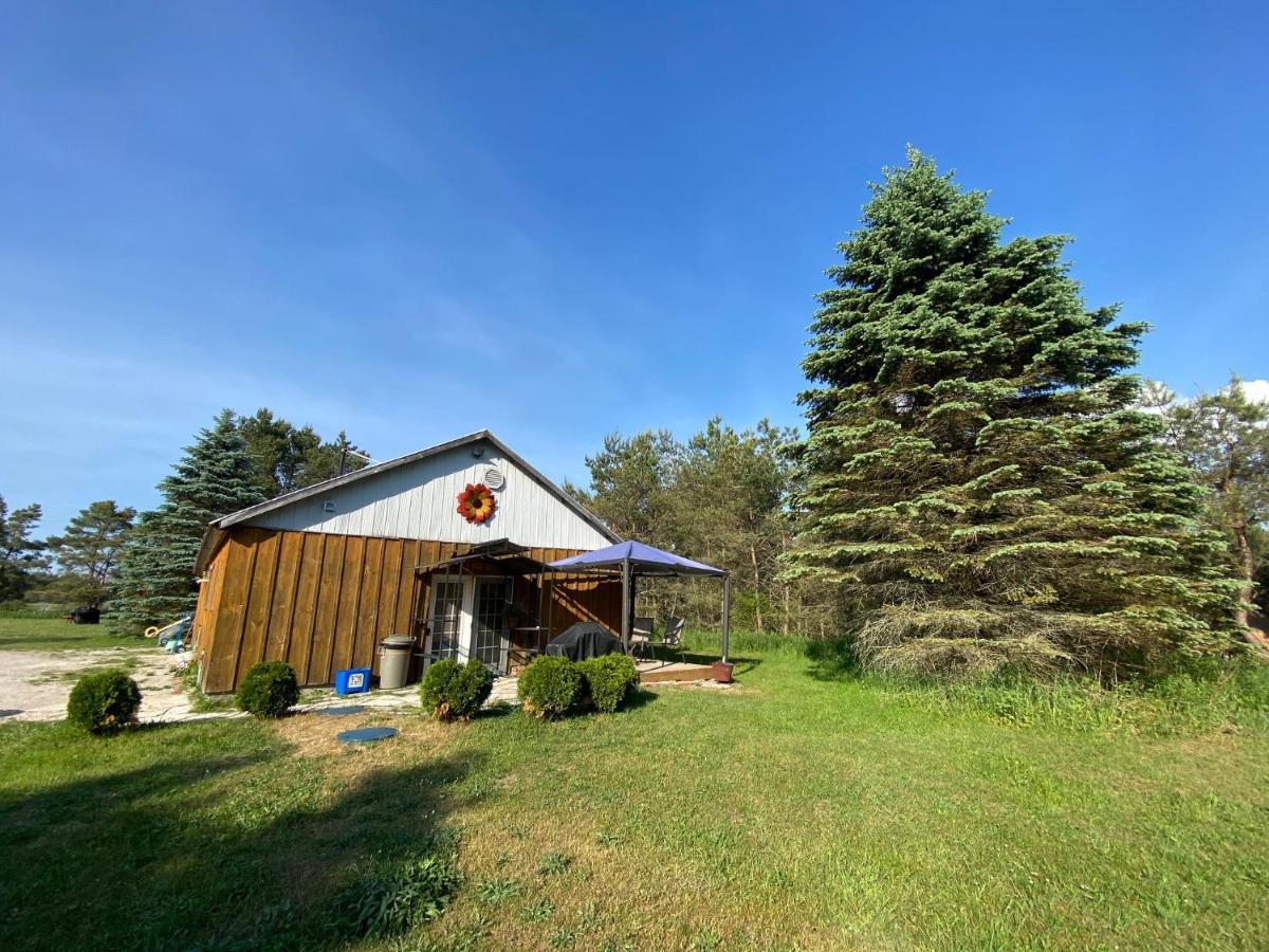 Dreamers Writing Farm, 3 Wooded Acres, Hepworth سوبل بيتش المظهر الخارجي الصورة